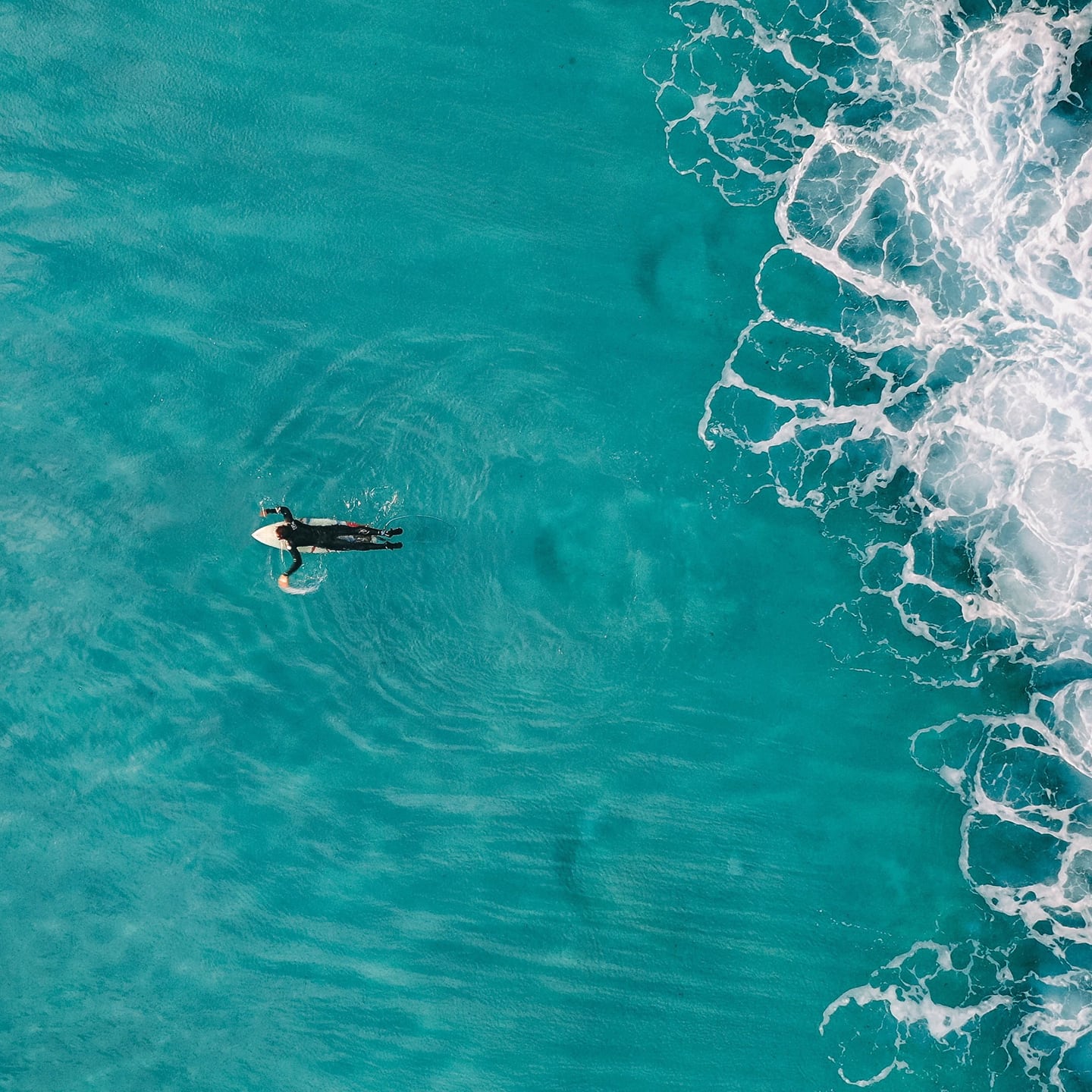 learn to surf in dakhla