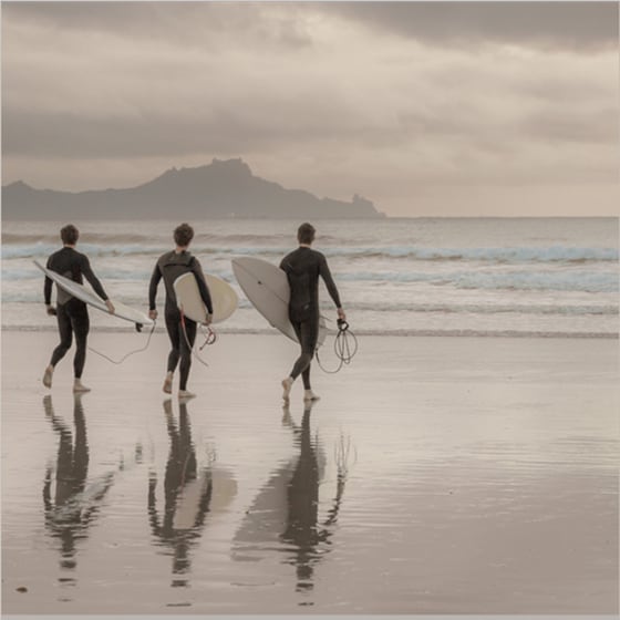 surfing price 2