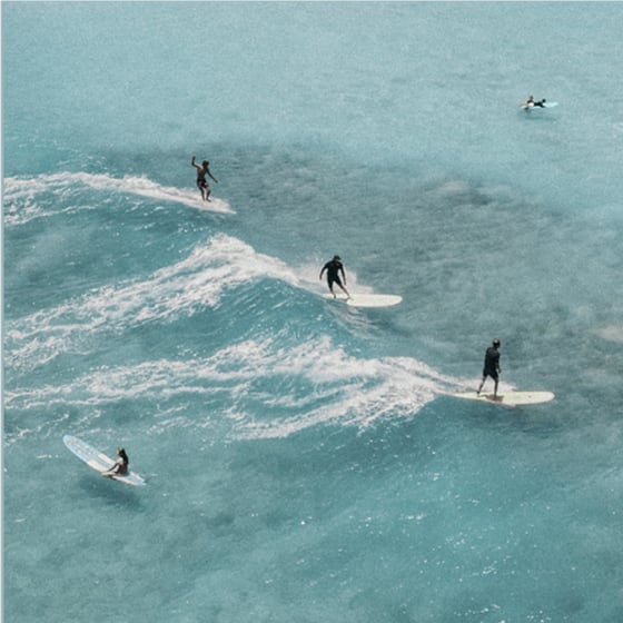 surfing price 3