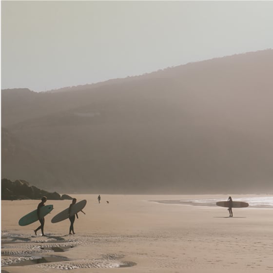 surfing price 4