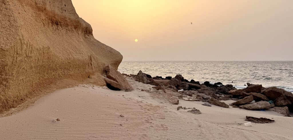 wide horizons 1